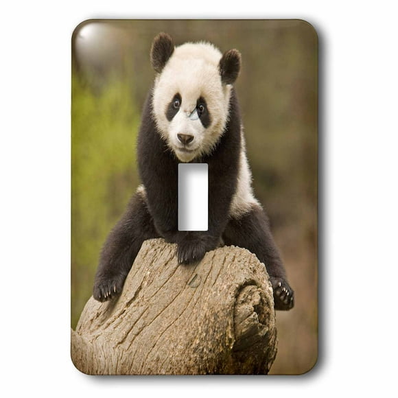3dRose lsp_51358_2 Panda Bear Toggle Switch 